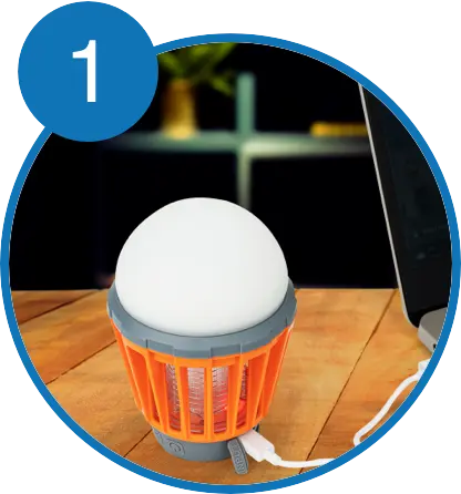 Bug Bulb charging on PC