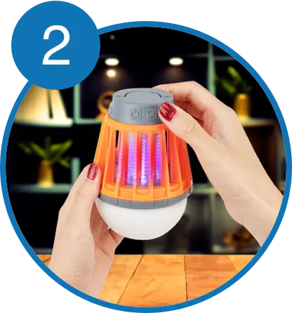 woman holding Bug Bulb