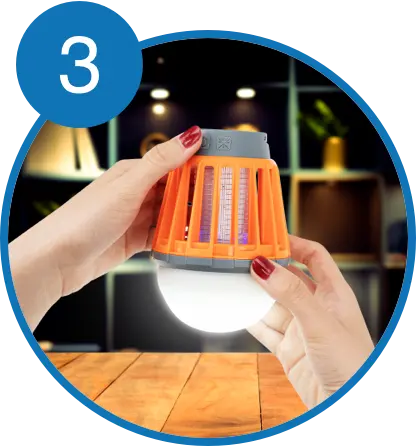 woman having Bug Bulb lighted