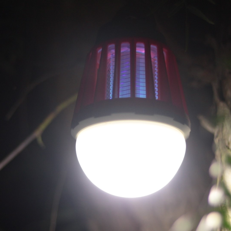 Bug Bulb lighted at night